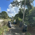 Leading the Way: Environmental Conservation and Sustainability in Northwest Florida