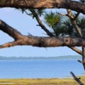 Preserving the Beauty of Northwest Florida: A Look at Environmental Organizations
