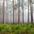 Exploring the Vital Government Agencies and Departments in Northwest Florida