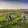 The Power of Collaboration: Building Strong Partnerships in Northwest Florida