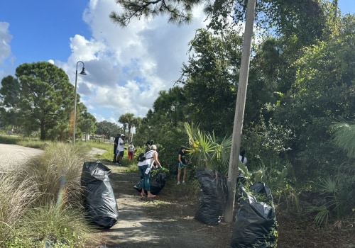 Leading the Way: Environmental Conservation and Sustainability in Northwest Florida
