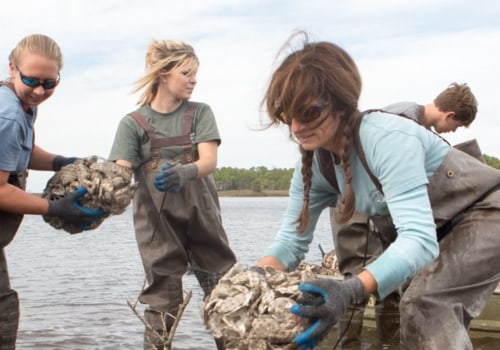 Addressing Social Issues and Challenges in Northwest Florida: An Expert's Perspective