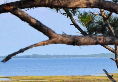 Preserving the Beauty of Northwest Florida: A Look at Environmental Organizations