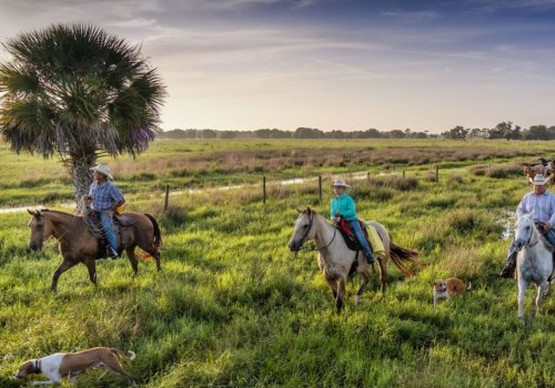 The Power of Collaboration: Building Strong Partnerships in Northwest Florida
